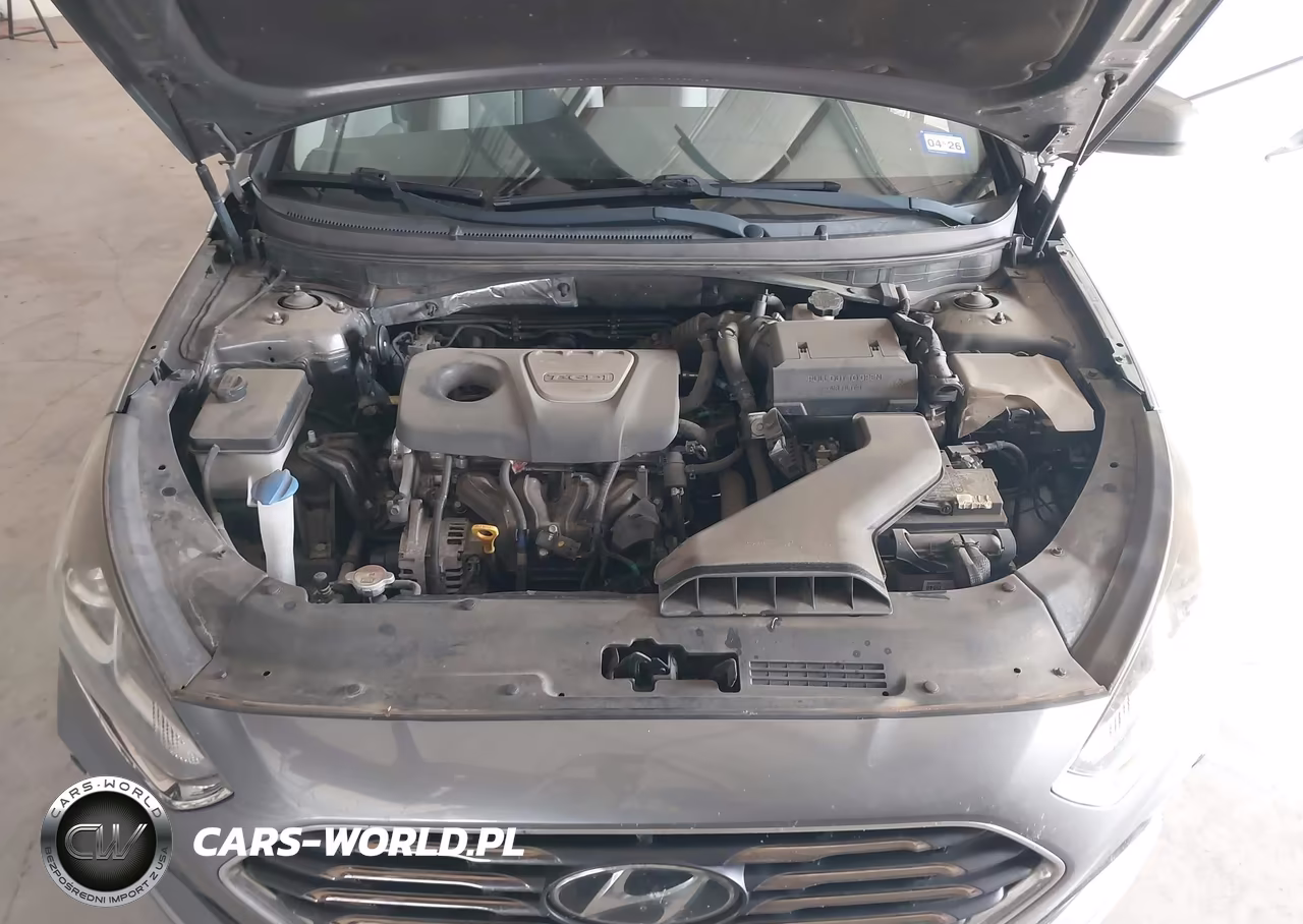 2019 Hyundai Sonata Eco VIN:5NPE24AA8KH774517 - 10
