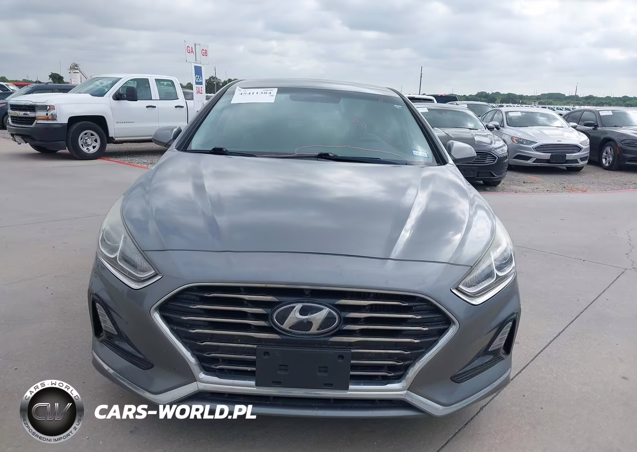 2019 Hyundai Sonata Eco VIN:5NPE24AA8KH774517 - 13