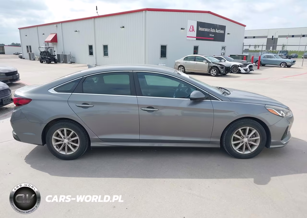 2019 Hyundai Sonata Eco VIN:5NPE24AA8KH774517 - 14