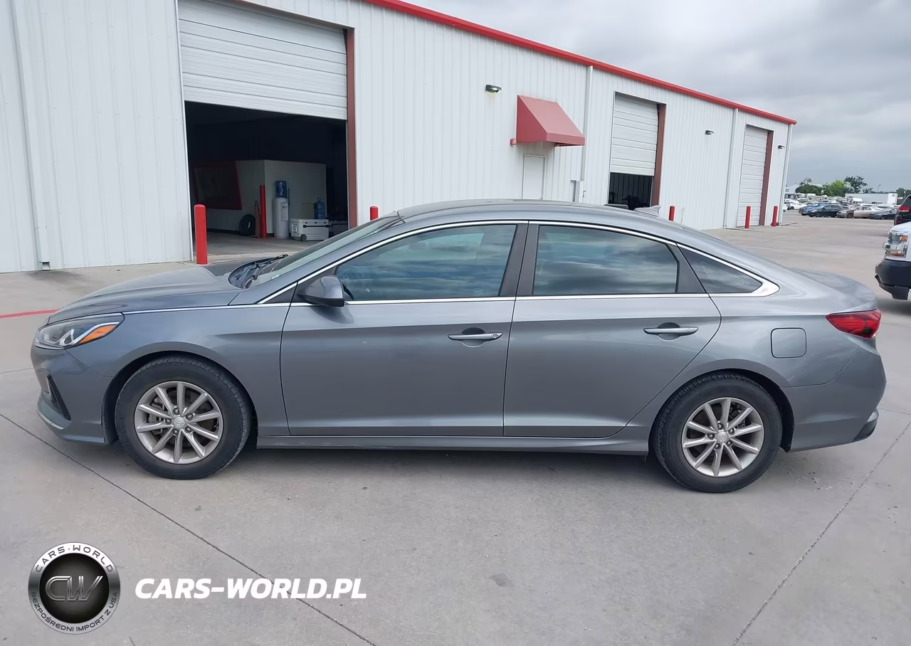 2019 Hyundai Sonata Eco VIN:5NPE24AA8KH774517 - 15