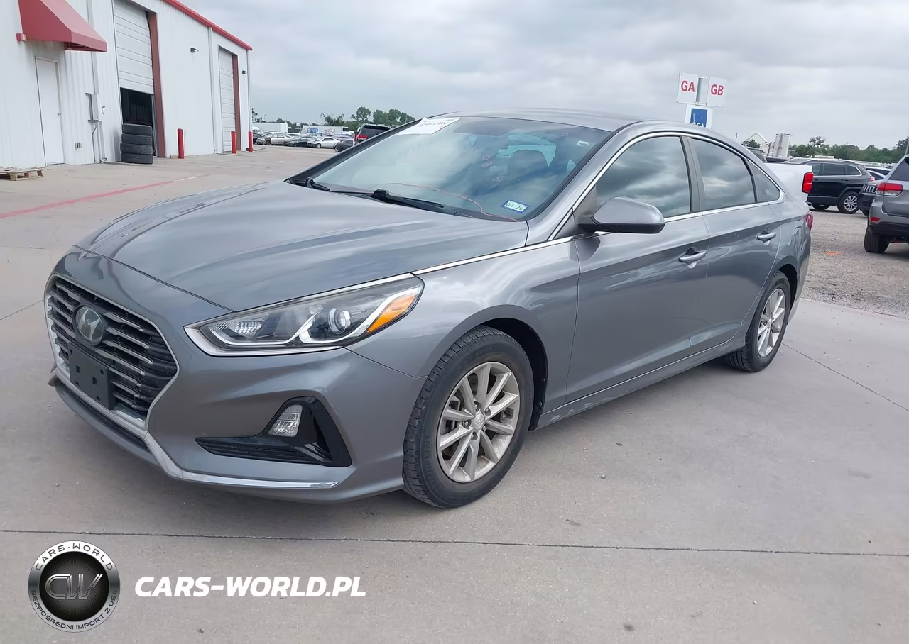 2019 Hyundai Sonata Eco VIN:5NPE24AA8KH774517 - 2