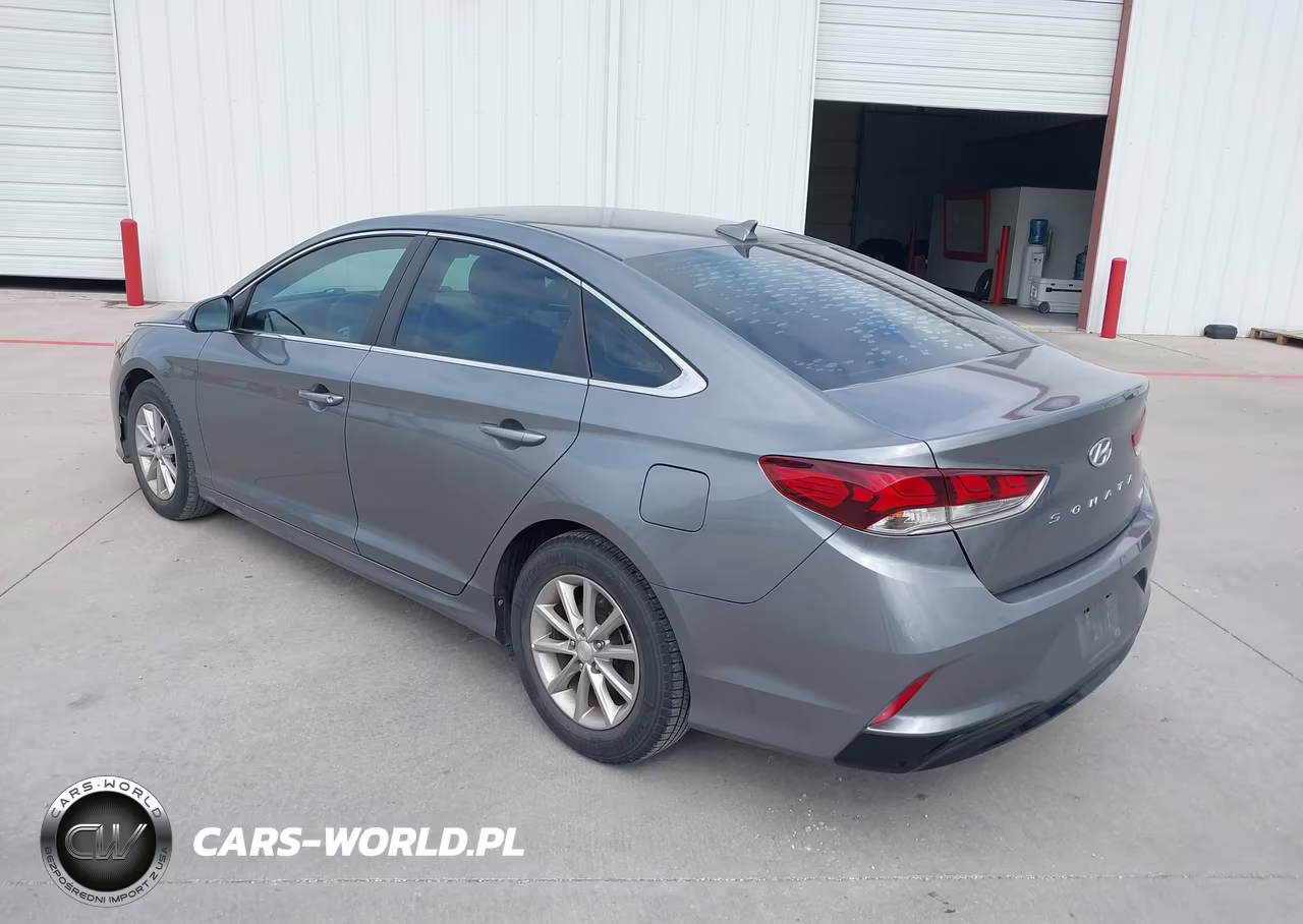 2019 Hyundai Sonata Eco VIN:5NPE24AA8KH774517 - 3