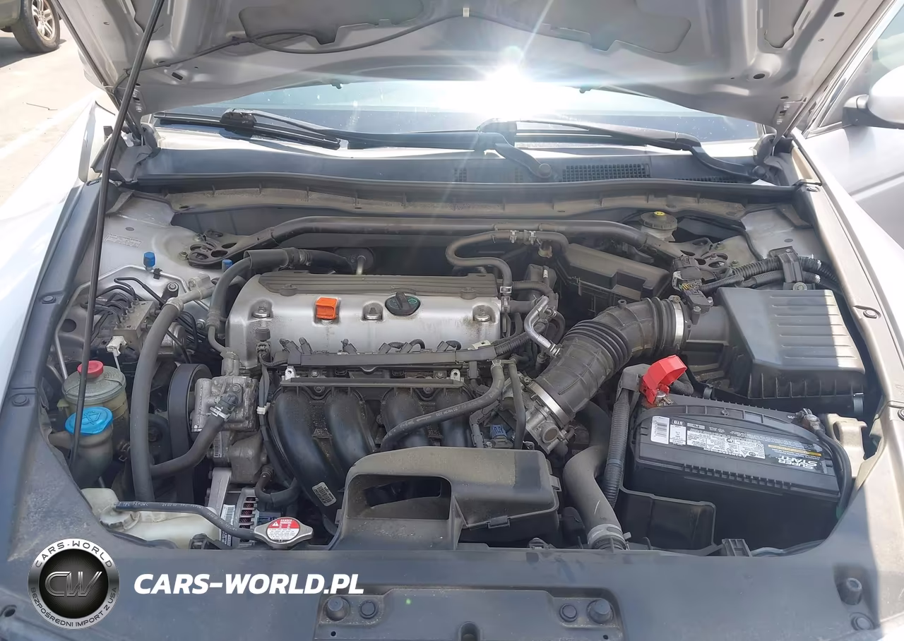 2010 Honda Accord 2.4 Ex-L VIN:1HGCS1B86AA018662 - 10