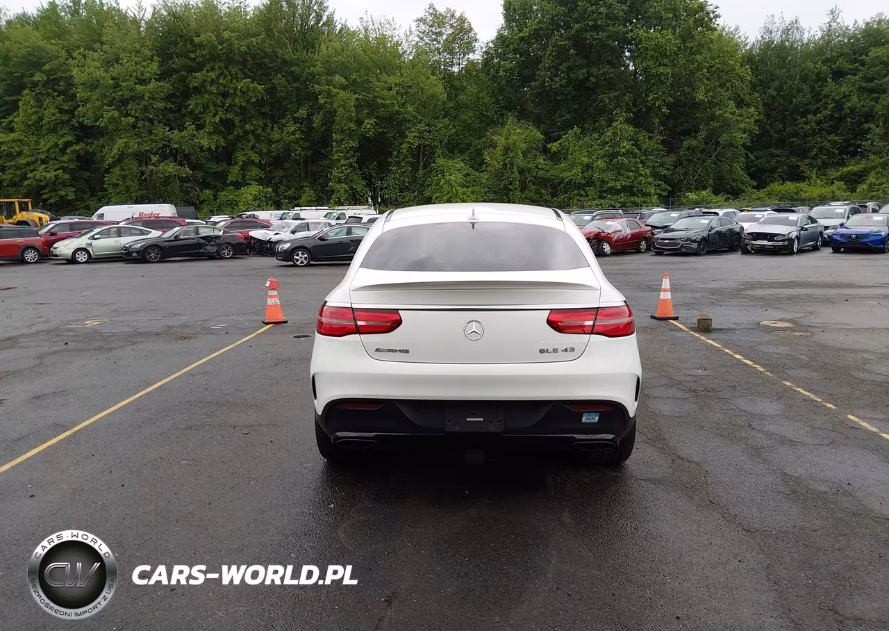 2019 Mercedes-Benz Amg Gle 43 Coupe 4Matic VIN:4JGED6EB0KA141005 - 16