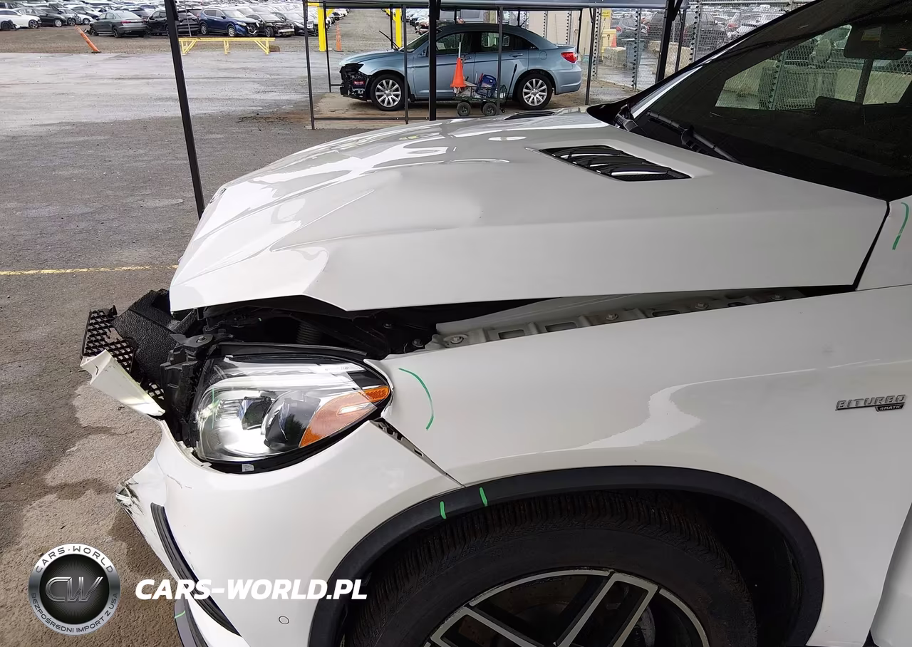 2019 Mercedes-Benz Amg Gle 43 Coupe 4Matic VIN:4JGED6EB0KA141005 - 17