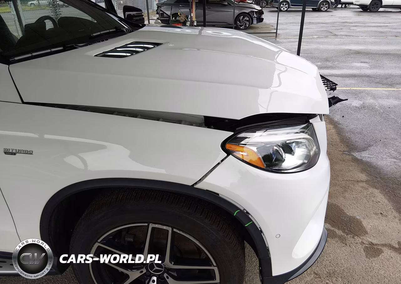 2019 Mercedes-Benz Amg Gle 43 Coupe 4Matic VIN:4JGED6EB0KA141005 - 18