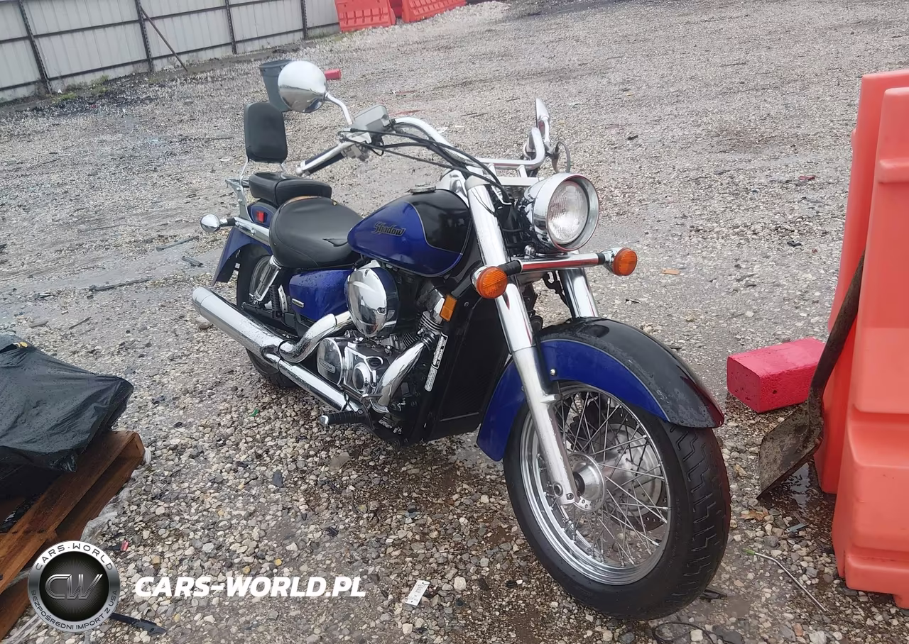 2004 Honda Vt750 Ca