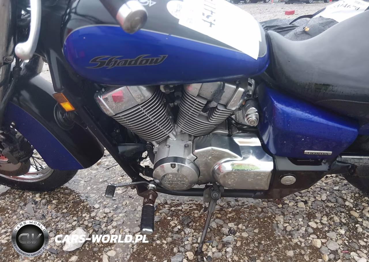 2004 Honda Vt750 Ca VIN:JH2RC50334M004703 - 9