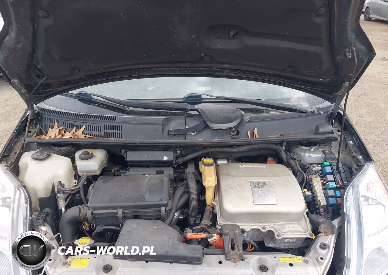 2009 Toyota Prius VIN:JTDKB20U893546302 - 10