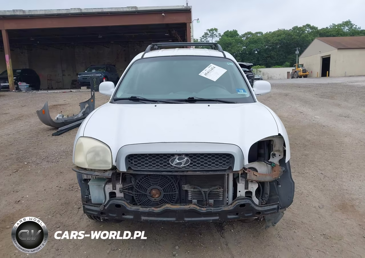 2002 Hyundai Santa Fe VIN:KM8SB12B92U169268 - 13