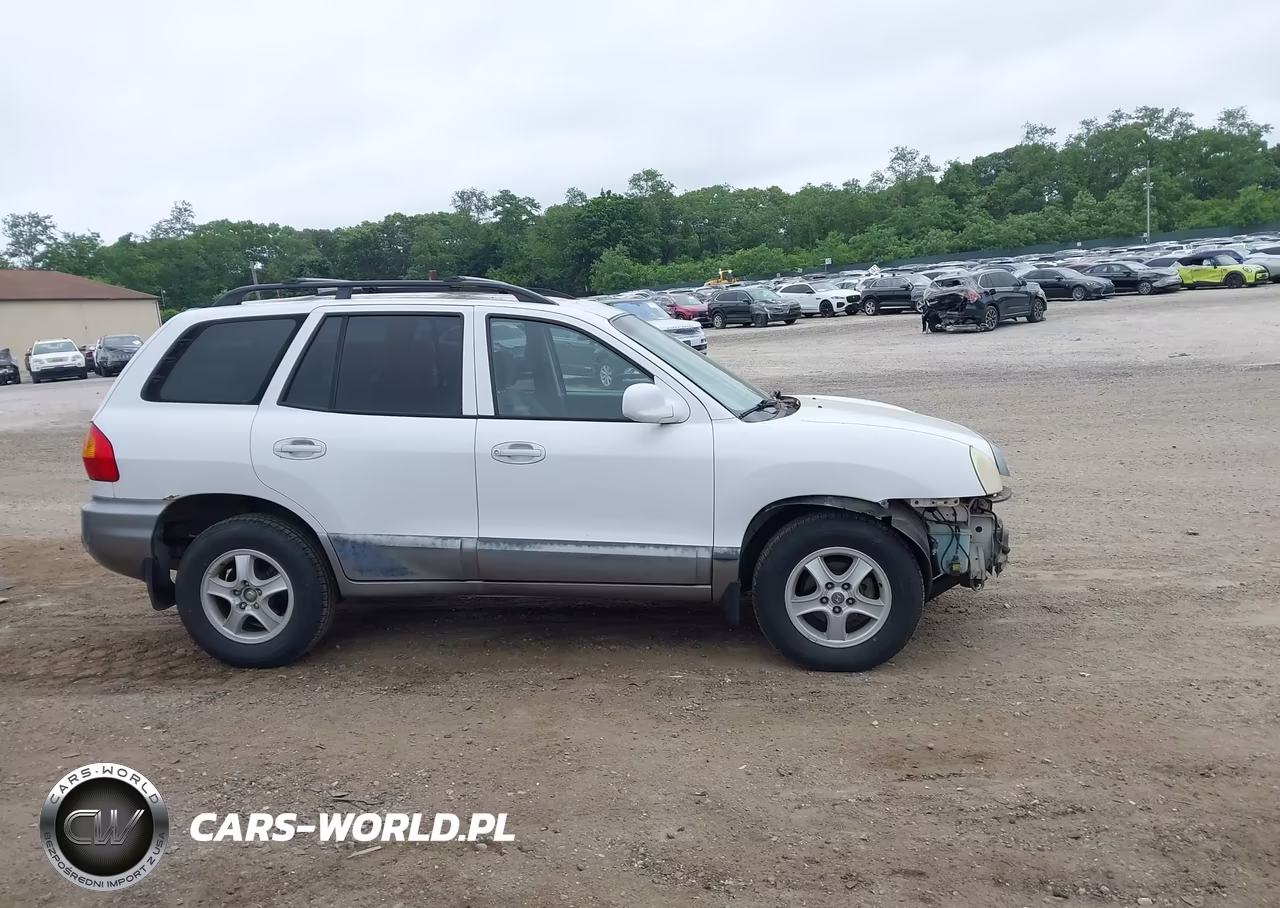 2002 Hyundai Santa Fe VIN:KM8SB12B92U169268 - 14