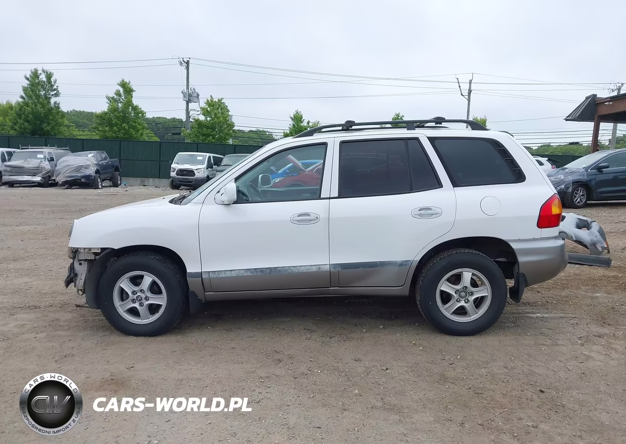 2002 Hyundai Santa Fe VIN:KM8SB12B92U169268 - 15