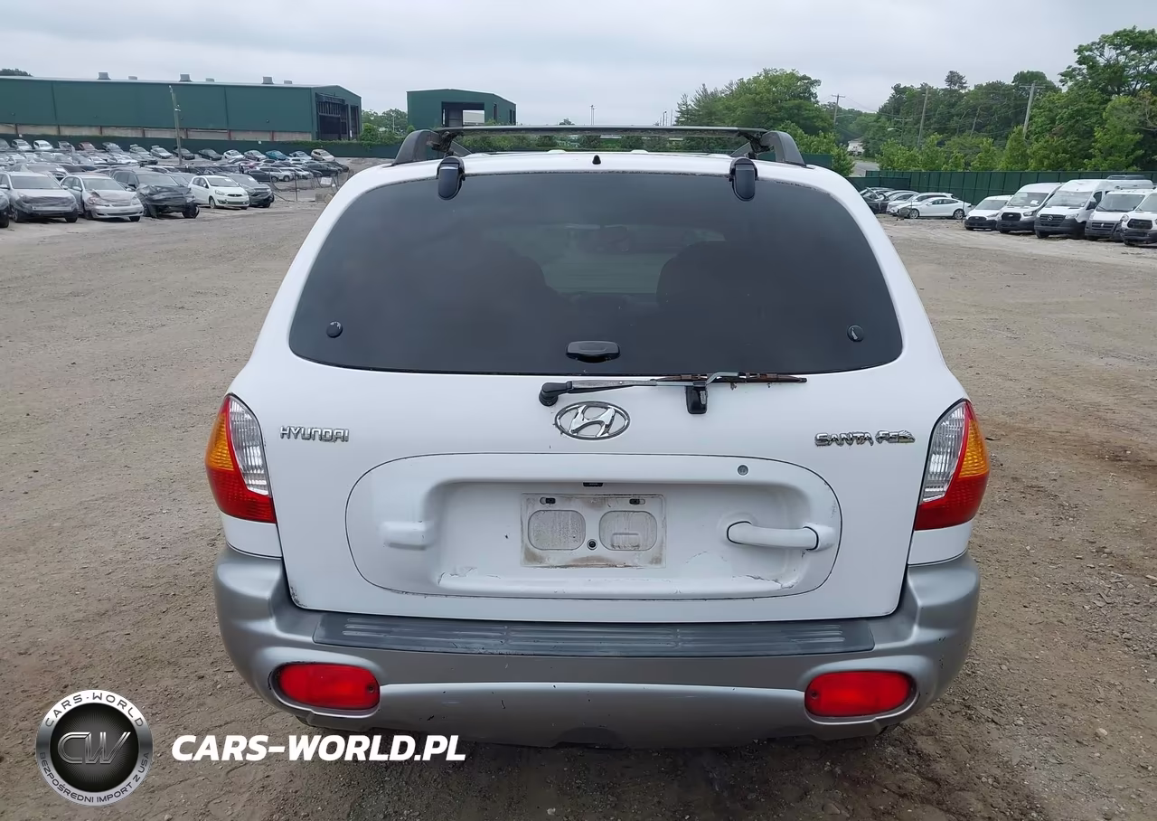 2002 Hyundai Santa Fe VIN:KM8SB12B92U169268 - 17