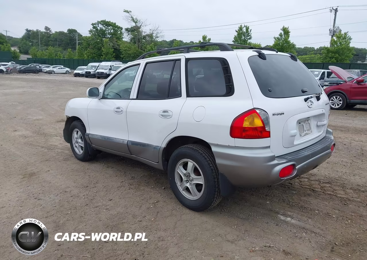 2002 Hyundai Santa Fe VIN:KM8SB12B92U169268 - 3