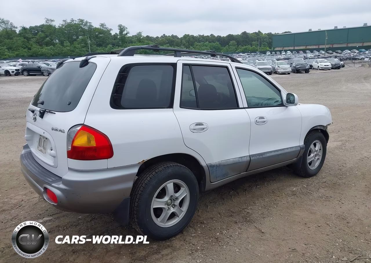 2002 Hyundai Santa Fe VIN:KM8SB12B92U169268 - 4