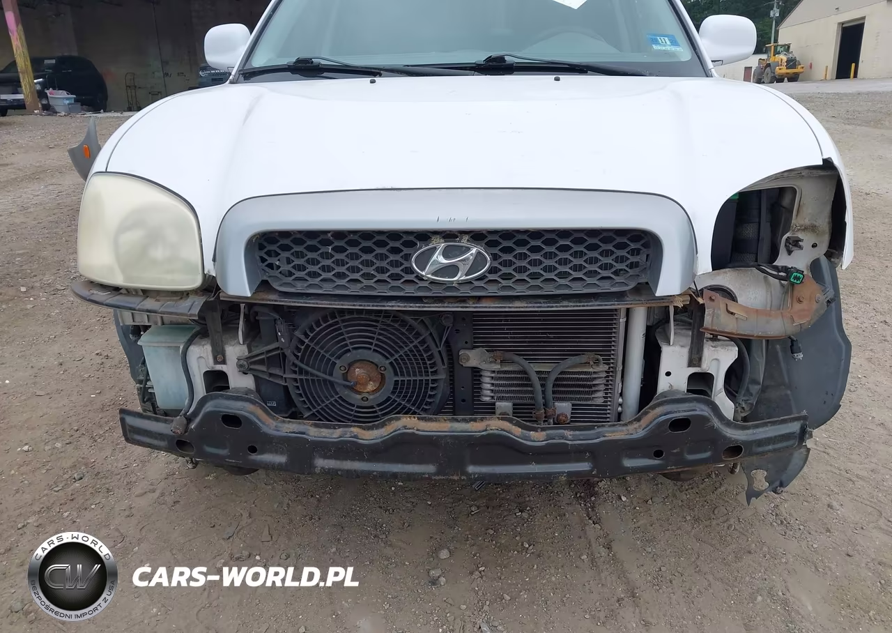 2002 Hyundai Santa Fe VIN:KM8SB12B92U169268 - 6