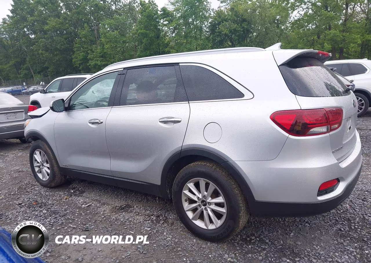 2019 Kia Sorento 2.4L Lx VIN:5XYPGDA34KG591344 - 14