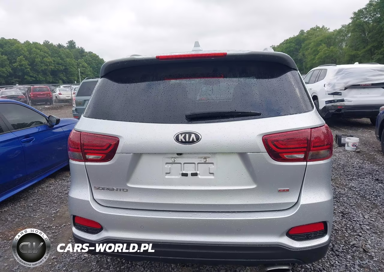 2019 Kia Sorento 2.4L Lx VIN:5XYPGDA34KG591344 - 16