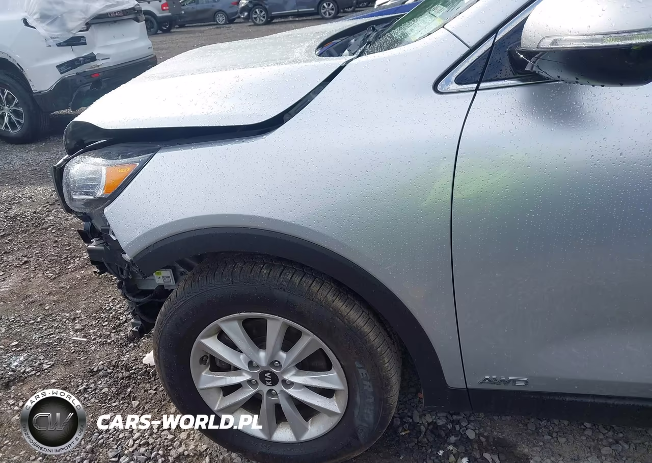 2019 Kia Sorento 2.4L Lx VIN:5XYPGDA34KG591344 - 6