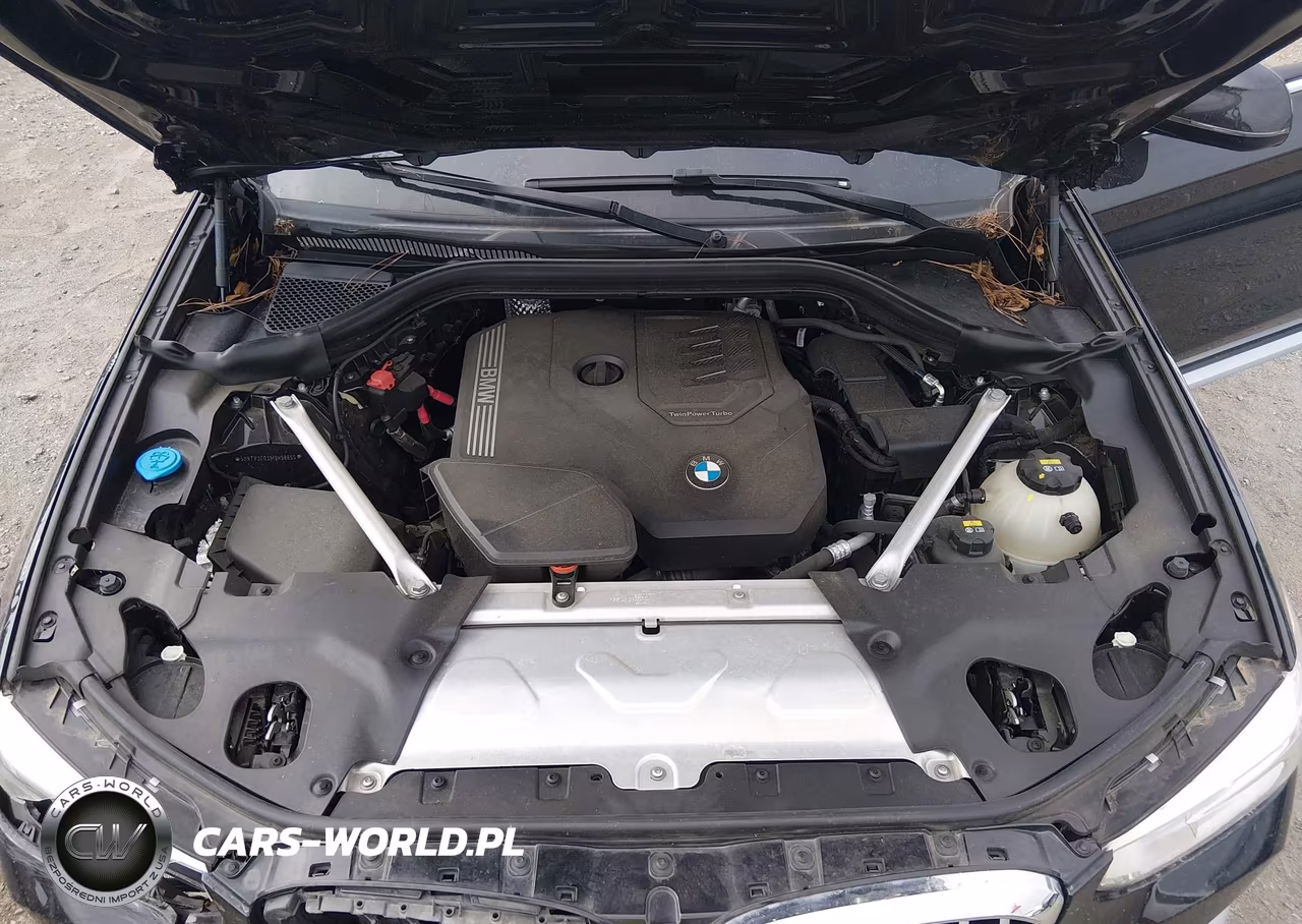 2021 BMW X3 Sdrive30I VIN:5UXTY3C03M9H98855 - 10
