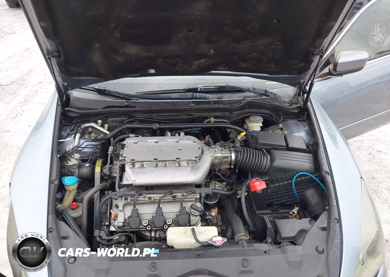 2007 Honda Accord 3.0 Se VIN:1HGCM66487A082094 - 10