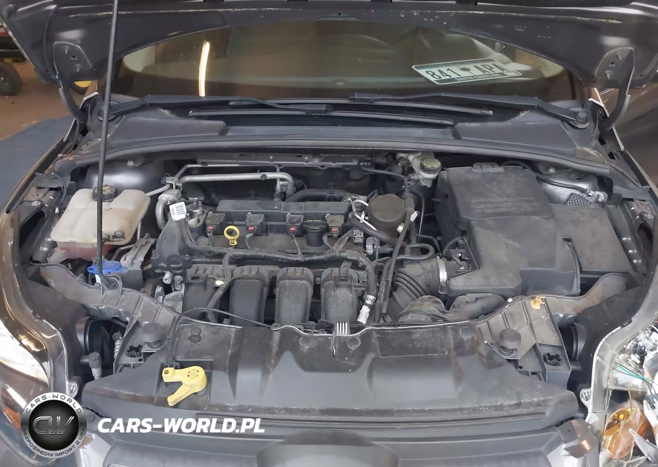 2014 Ford Focus Se VIN:1FADP3F22EL334050 - 10