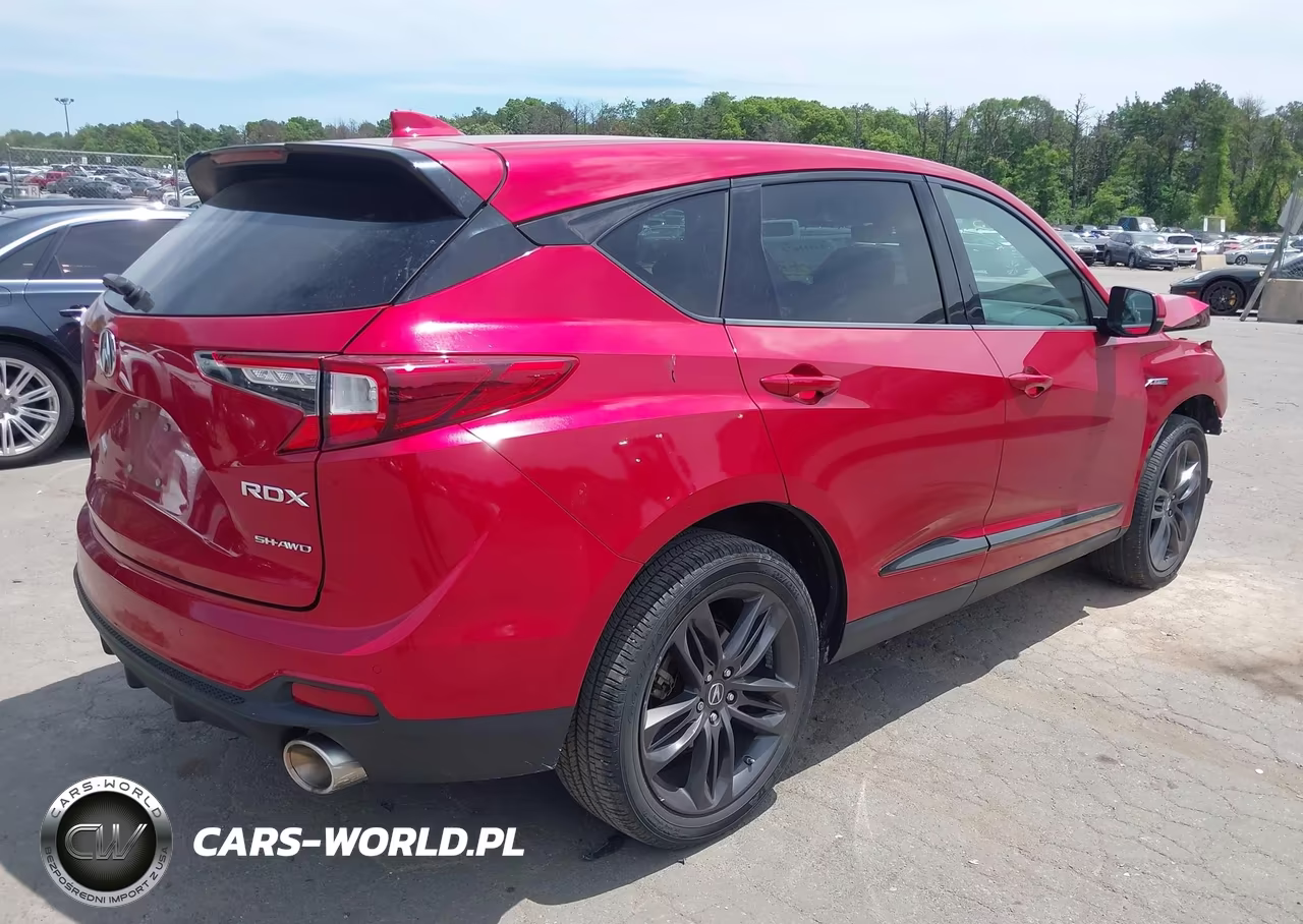 2019 Acura Rdx A-Spec Package VIN:5J8TC2H63KL020934 - 4