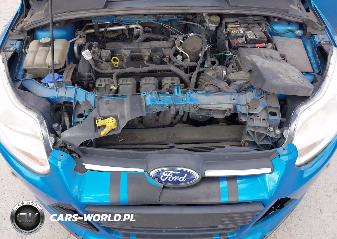 2013 Ford Focus Se VIN:1FADP3K20DL242021 - 10