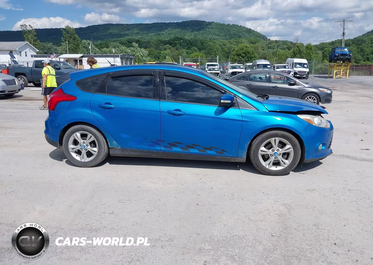 2013 Ford Focus Se VIN:1FADP3K20DL242021 - 14