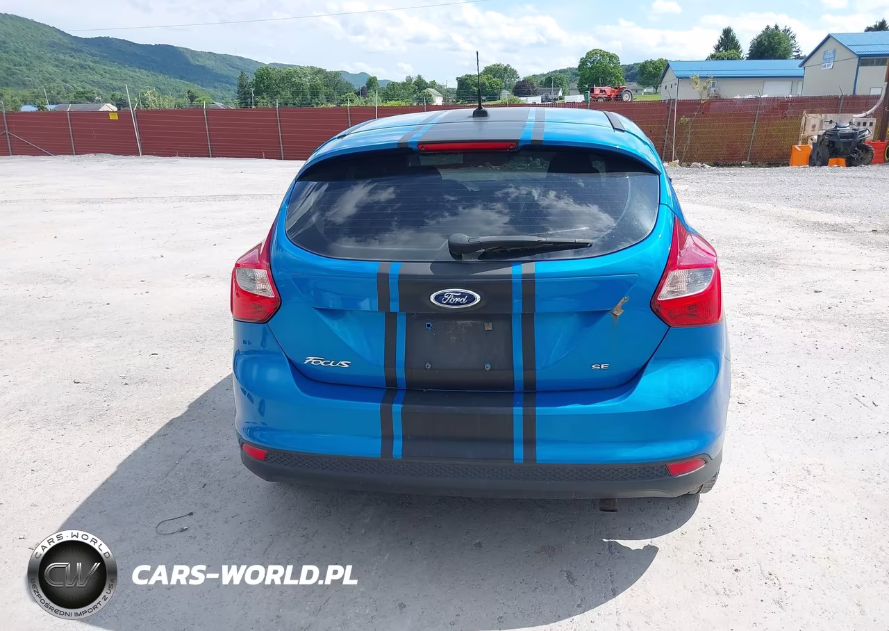 2013 Ford Focus Se VIN:1FADP3K20DL242021 - 17