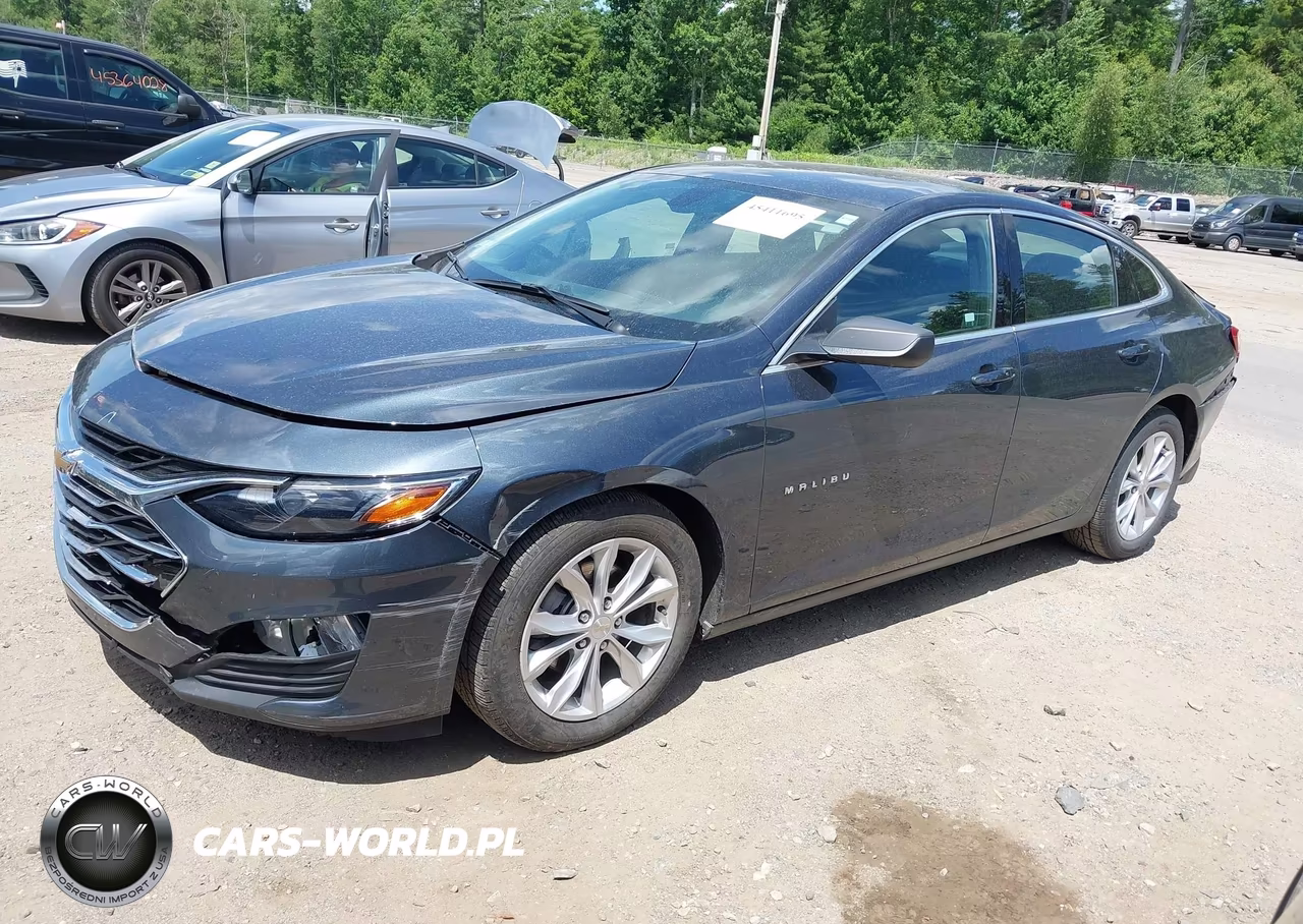 2019 Chevrolet Malibu Lt VIN:1G1ZD5ST3KF200427 - 2