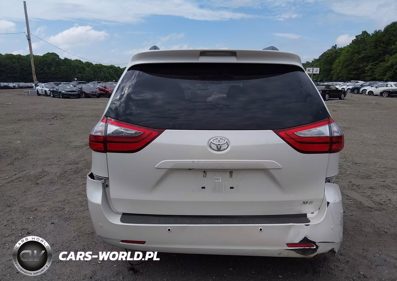 2017 Toyota Sienna Xle Premium 8 Passenger VIN:5TDYZ3DC1HS819073 - 17