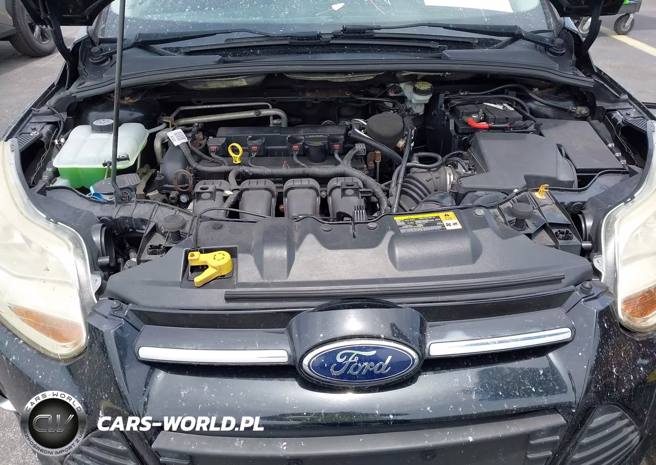 2013 Ford Focus Titanium VIN:1FADP3N25DL168963 - 10
