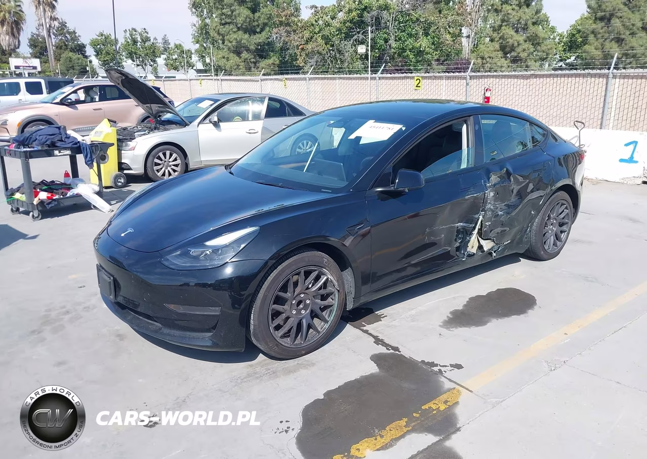 2023 Tesla Model 3 Rear-Wheel Drive VIN:5YJ3E1EA3PF662916 - 2
