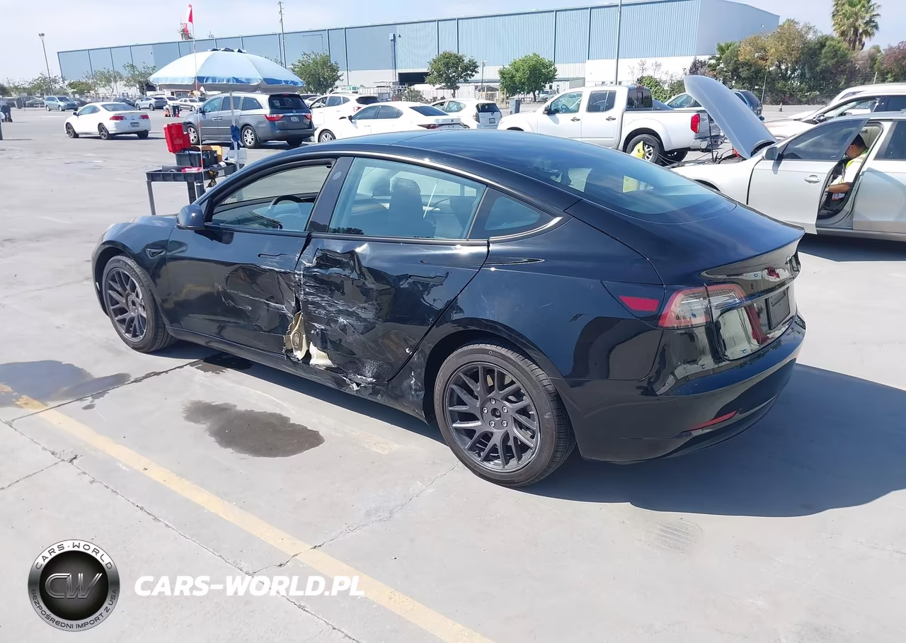 2023 Tesla Model 3 Rear-Wheel Drive VIN:5YJ3E1EA3PF662916 - 3