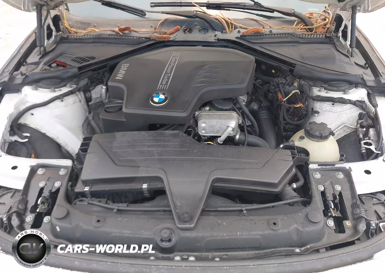 2016 BMW 428I Gran Coupe VIN:WBA4A9C51GGL89840 - 10