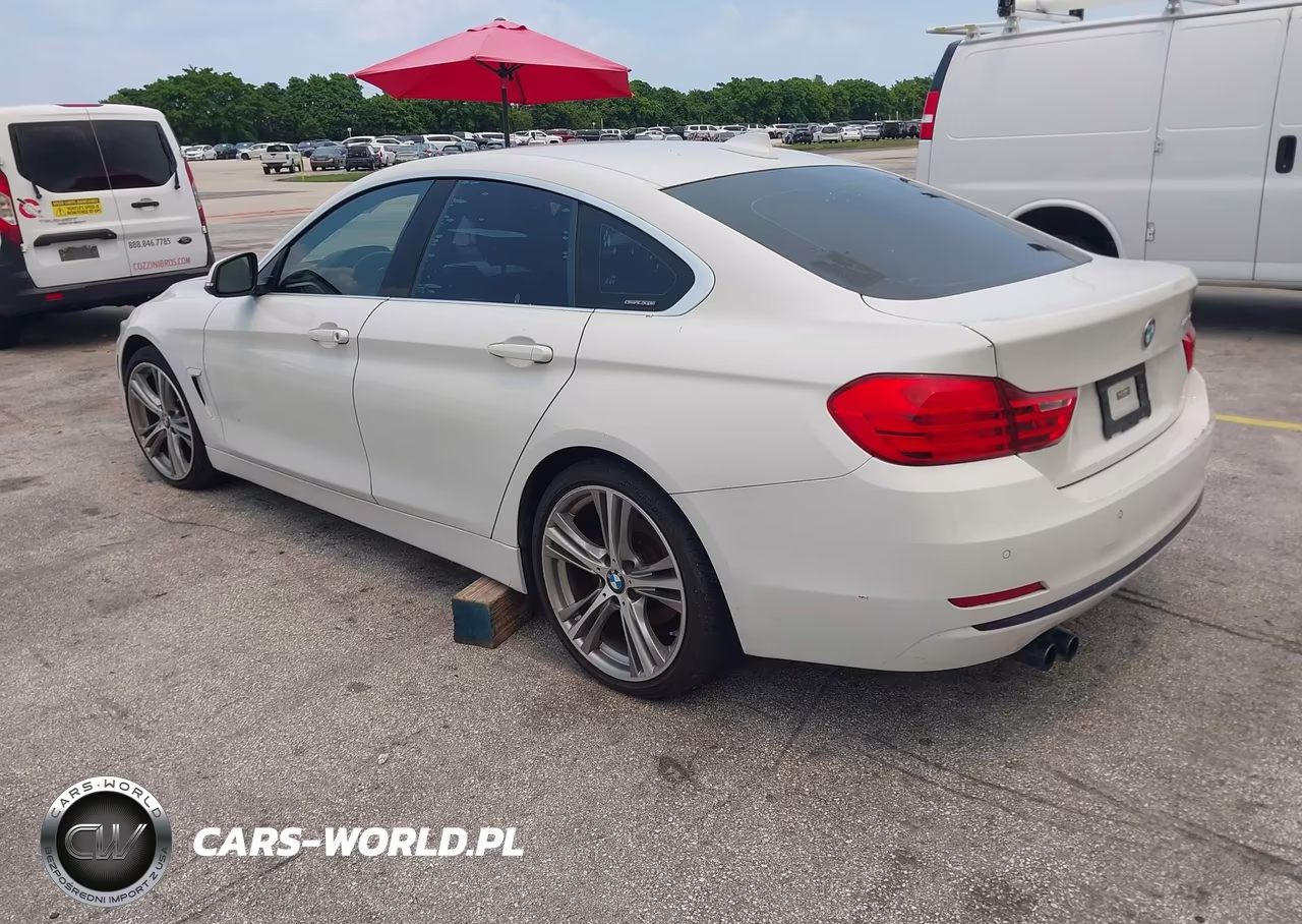 2016 BMW 428I Gran Coupe VIN:WBA4A9C51GGL89840 - 3
