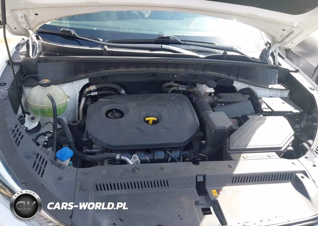 2018 Hyundai Tucson Sel VIN:KM8J33A47JU656121 - 10