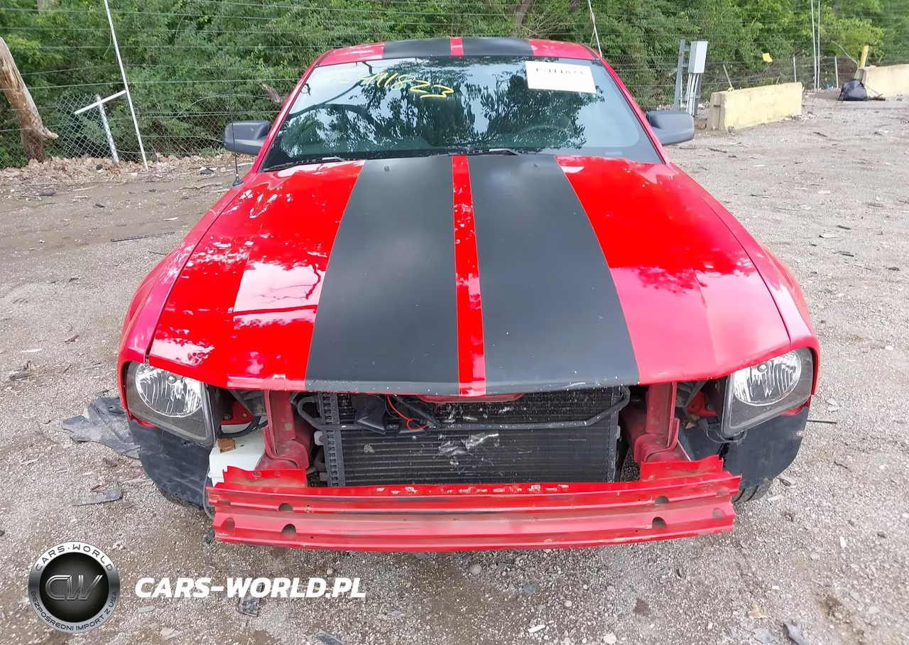 2007 Ford Mustang V6 Deluxe-V6 Premium VIN:1ZVFT80N475280883 - 12