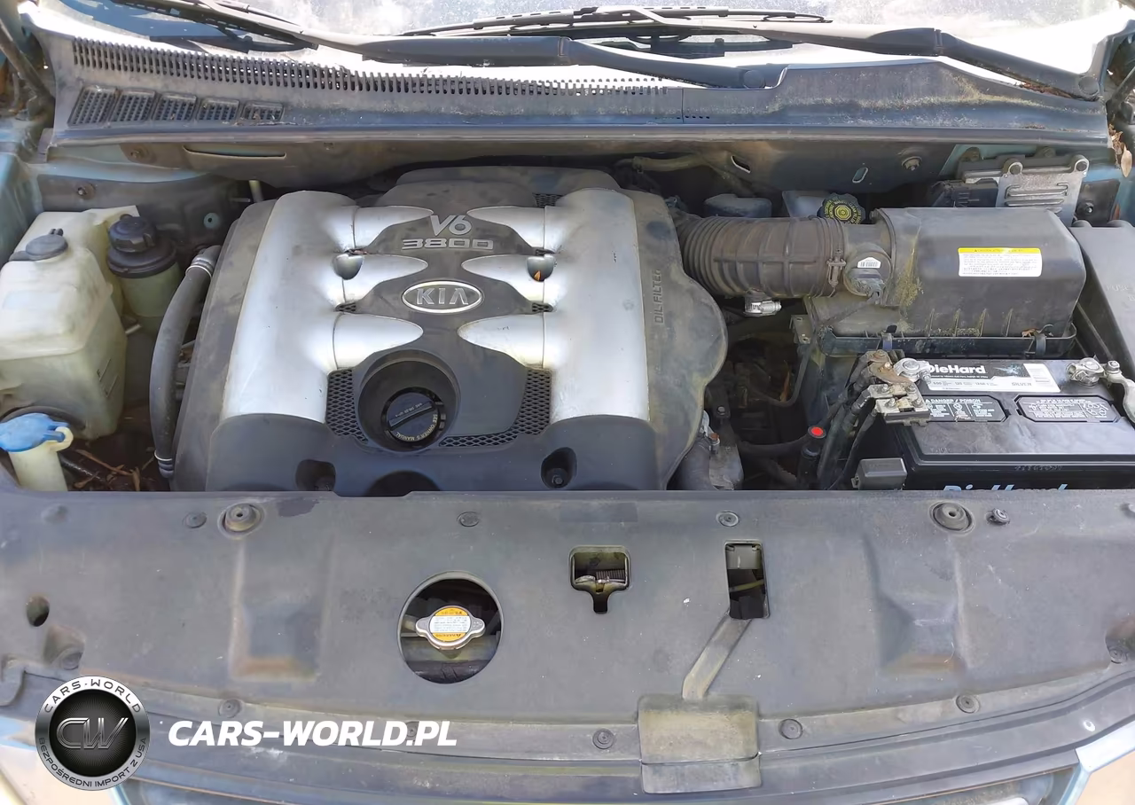 2006 Kia Sedona Ex-Lx VIN:KNDMB233X66065652 - 10