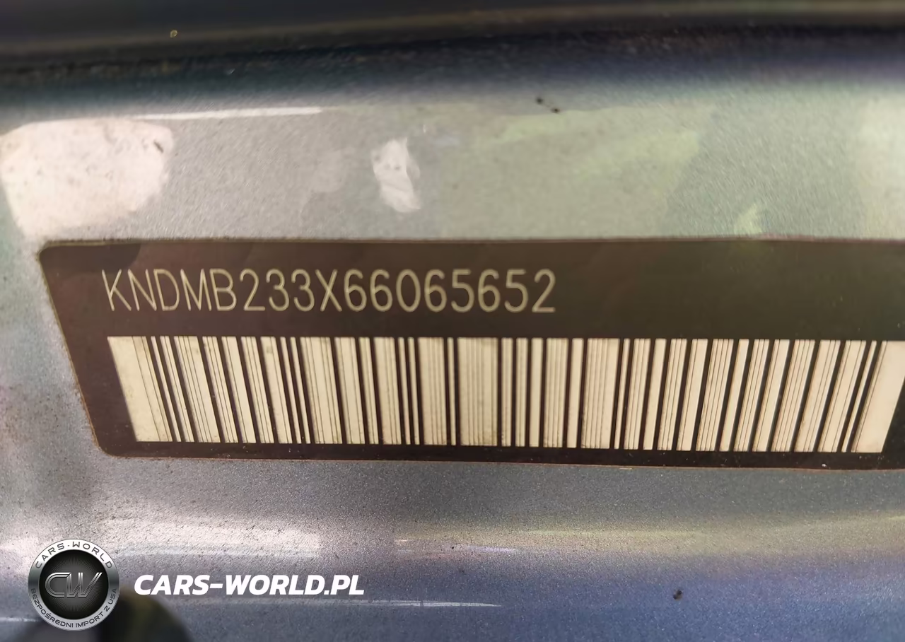 2006 Kia Sedona Ex-Lx VIN:KNDMB233X66065652 - 9
