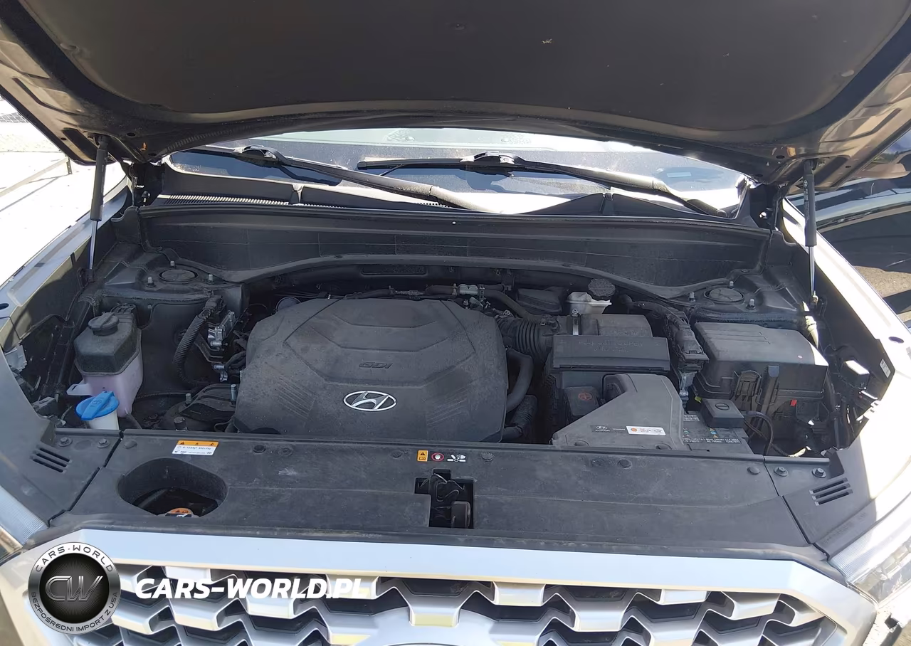 2021 Hyundai Palisade Se VIN:KM8R1DHE2MU213151 - 10