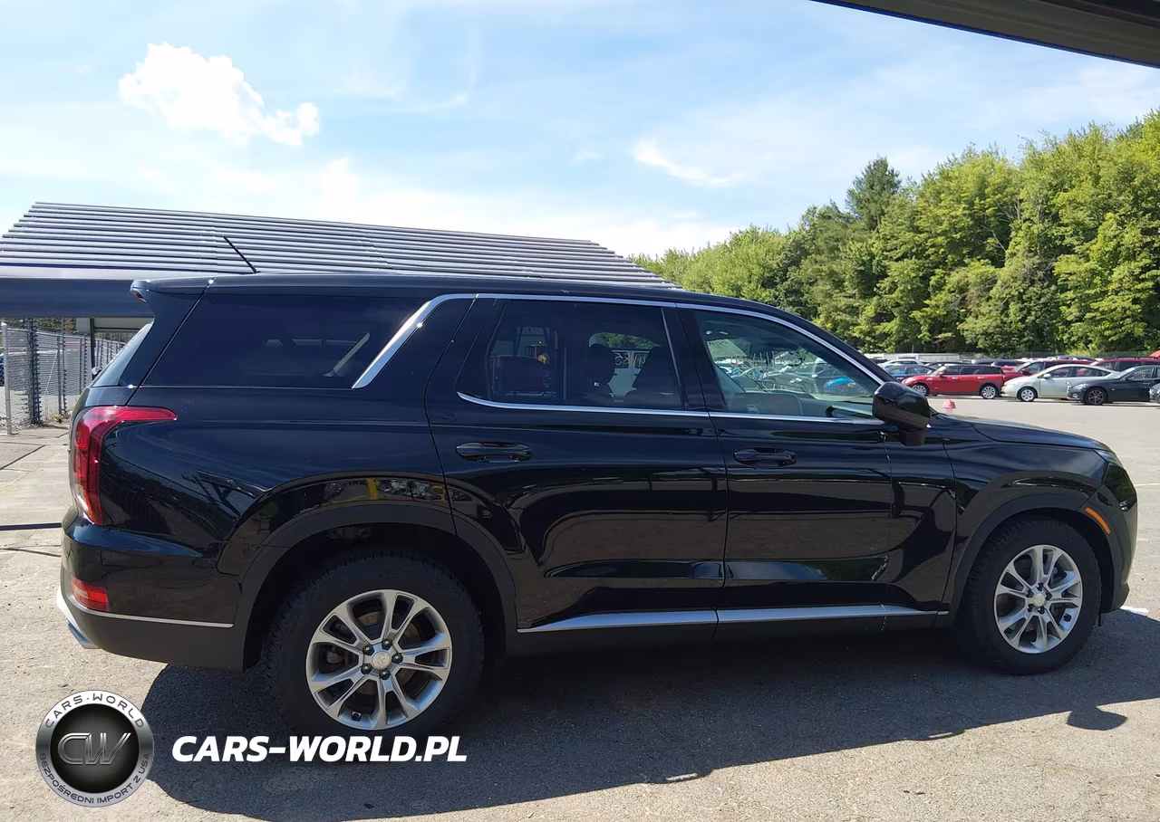 2021 Hyundai Palisade Se VIN:KM8R1DHE2MU213151 - 13