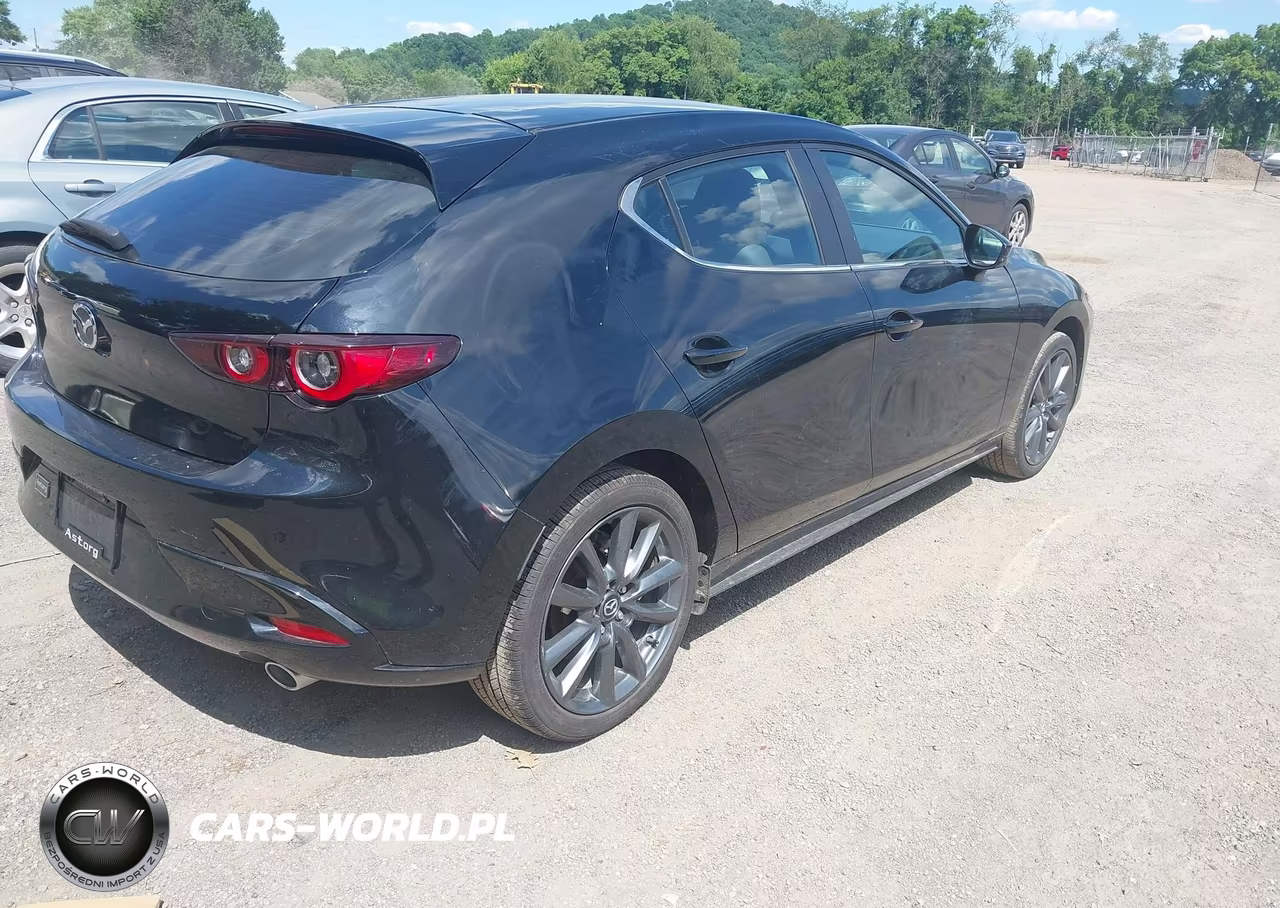 2025 Mazda Mazda3 2.5 S Preferred VIN:JM1BPALMXS1768946 - 4