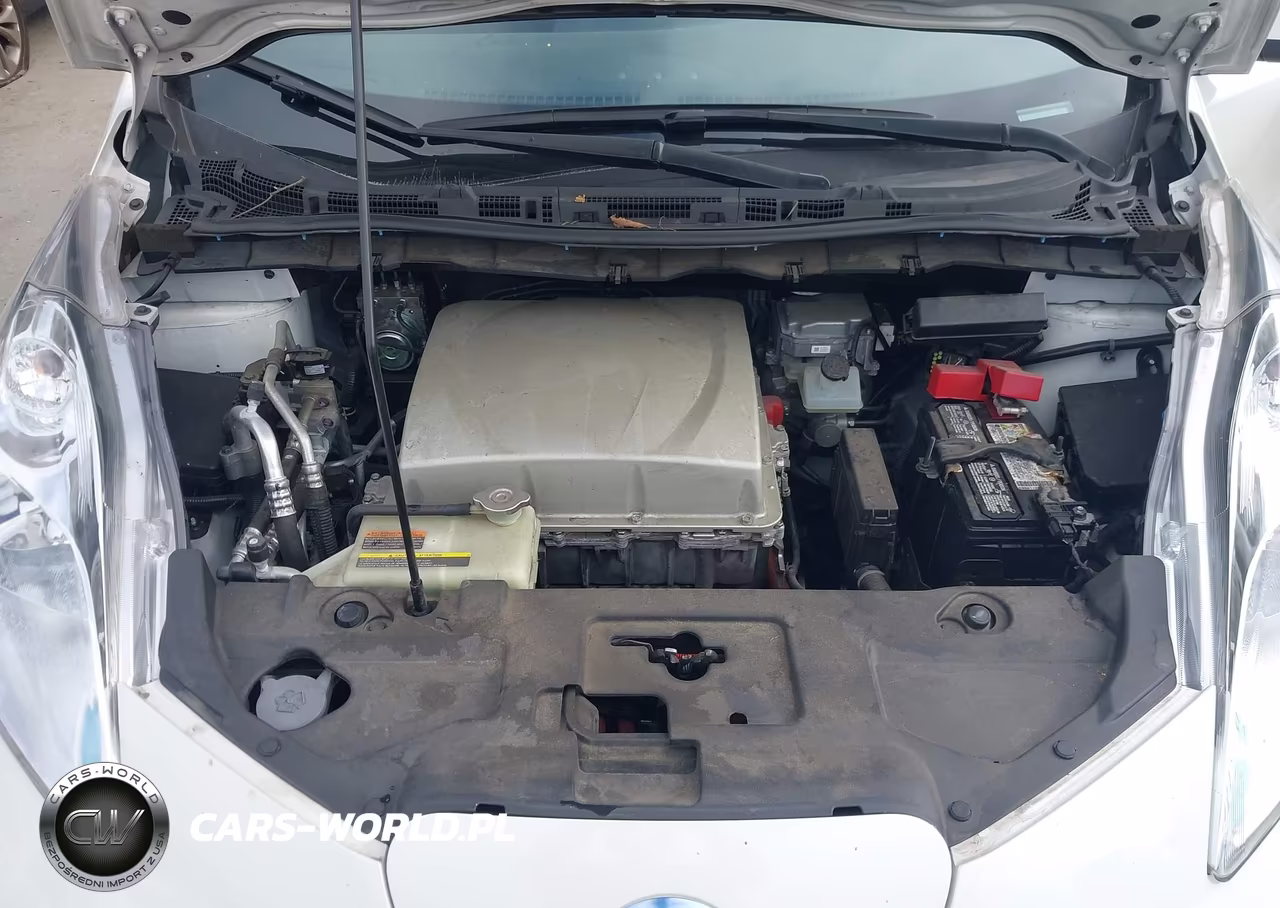 2017 Nissan Leaf Sv VIN:1N4BZ0CP3HC304625 - 10