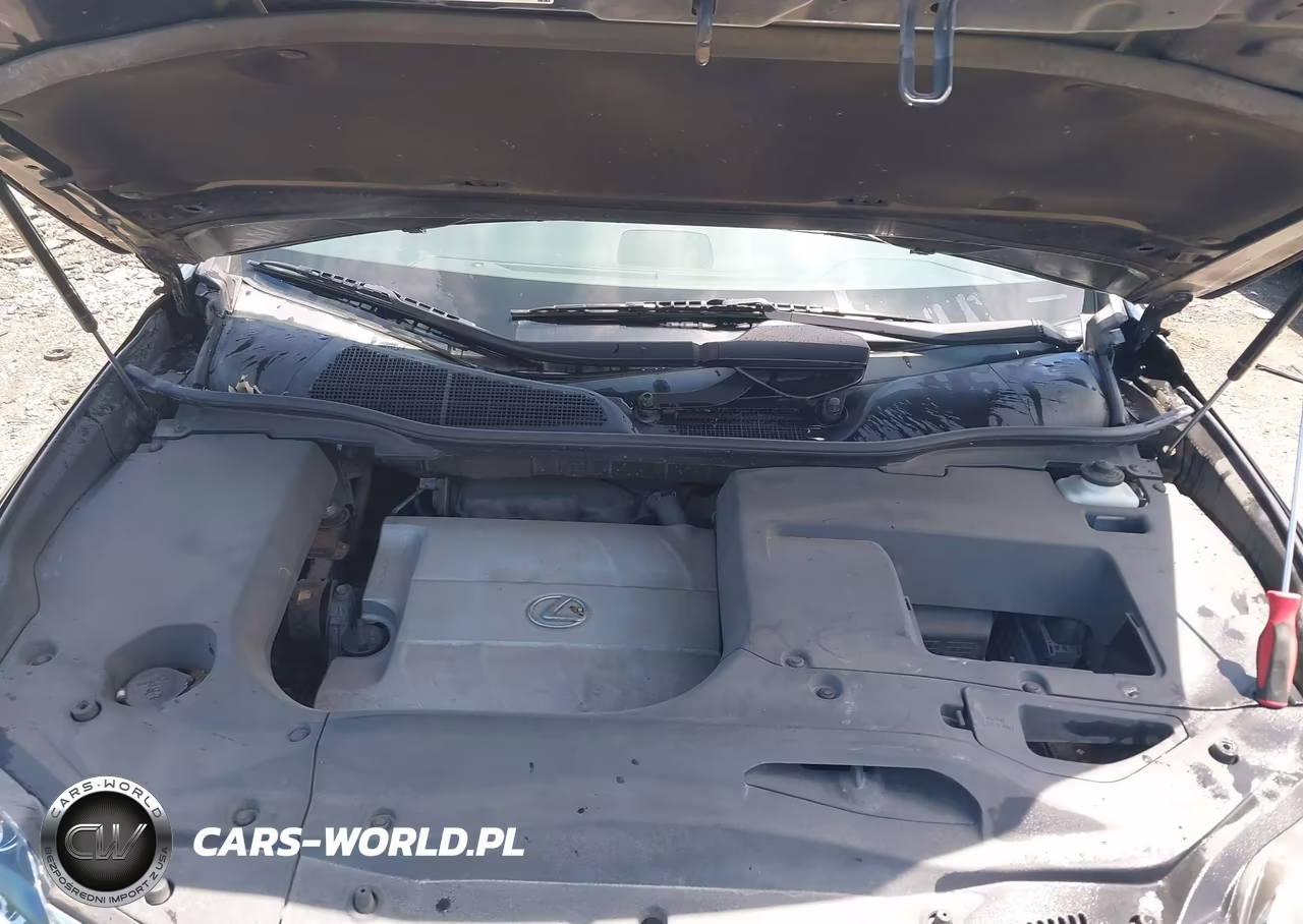 2013 Lexus Rx 350 VIN:2T2BK1BA0DC161390 - 10