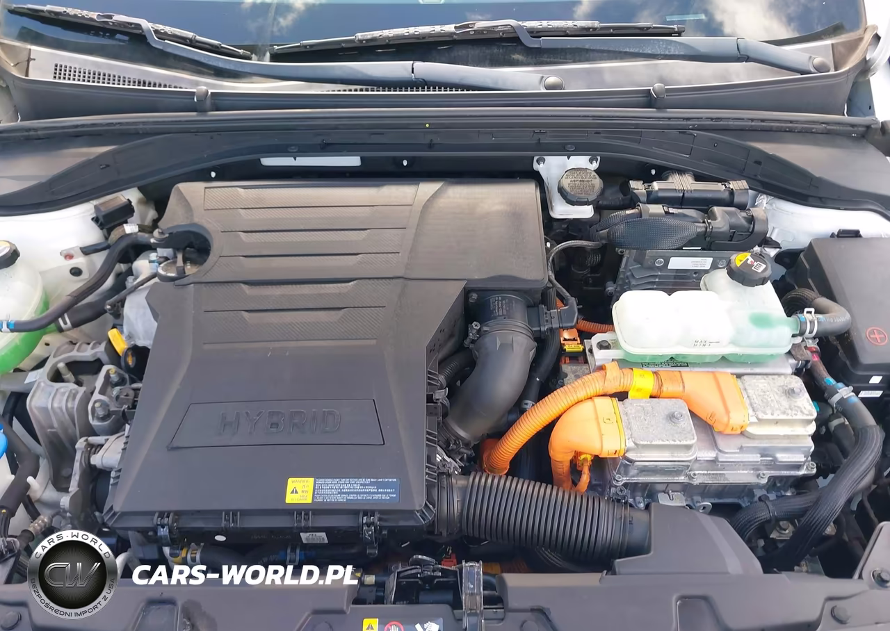 2019 Hyundai Ioniq Hybrid Sel VIN:KMHC75LC6KU106763 - 10