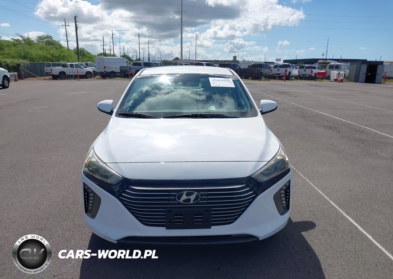 2019 Hyundai Ioniq Hybrid Sel VIN:KMHC75LC6KU106763 - 17