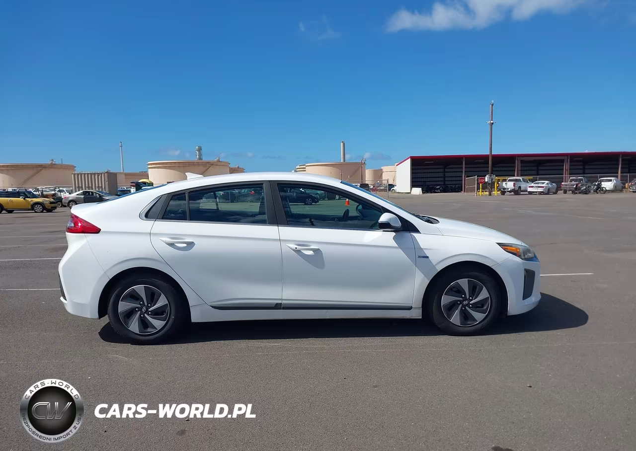 2019 Hyundai Ioniq Hybrid Sel VIN:KMHC75LC6KU106763 - 18
