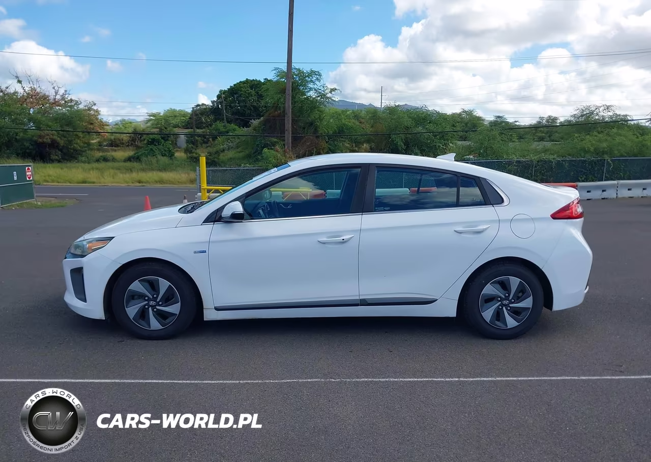 2019 Hyundai Ioniq Hybrid Sel VIN:KMHC75LC6KU106763 - 19
